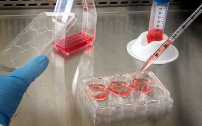 Pressrelease MAGic BioProcessing